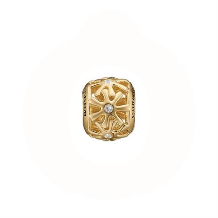 Christina Jewelry & Watches - Wisdom Charm - forgyldt sølv 623-G205