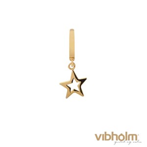 Christina Jewelry & Watches - Star Charm - forgyldt sølv 610-G13